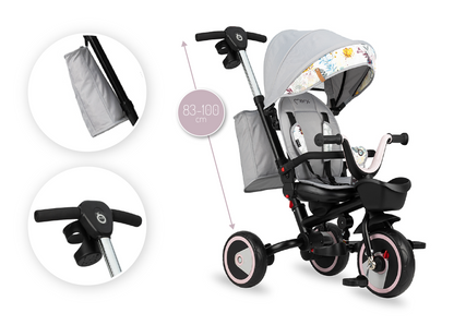 MoMi invidia tricycle